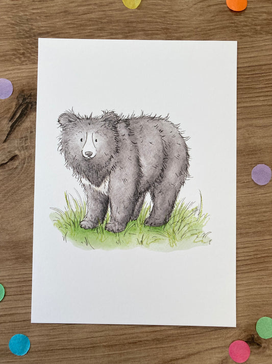 Sloth Bear | Sloth Bear Art Print | Bears Of The World Artwork