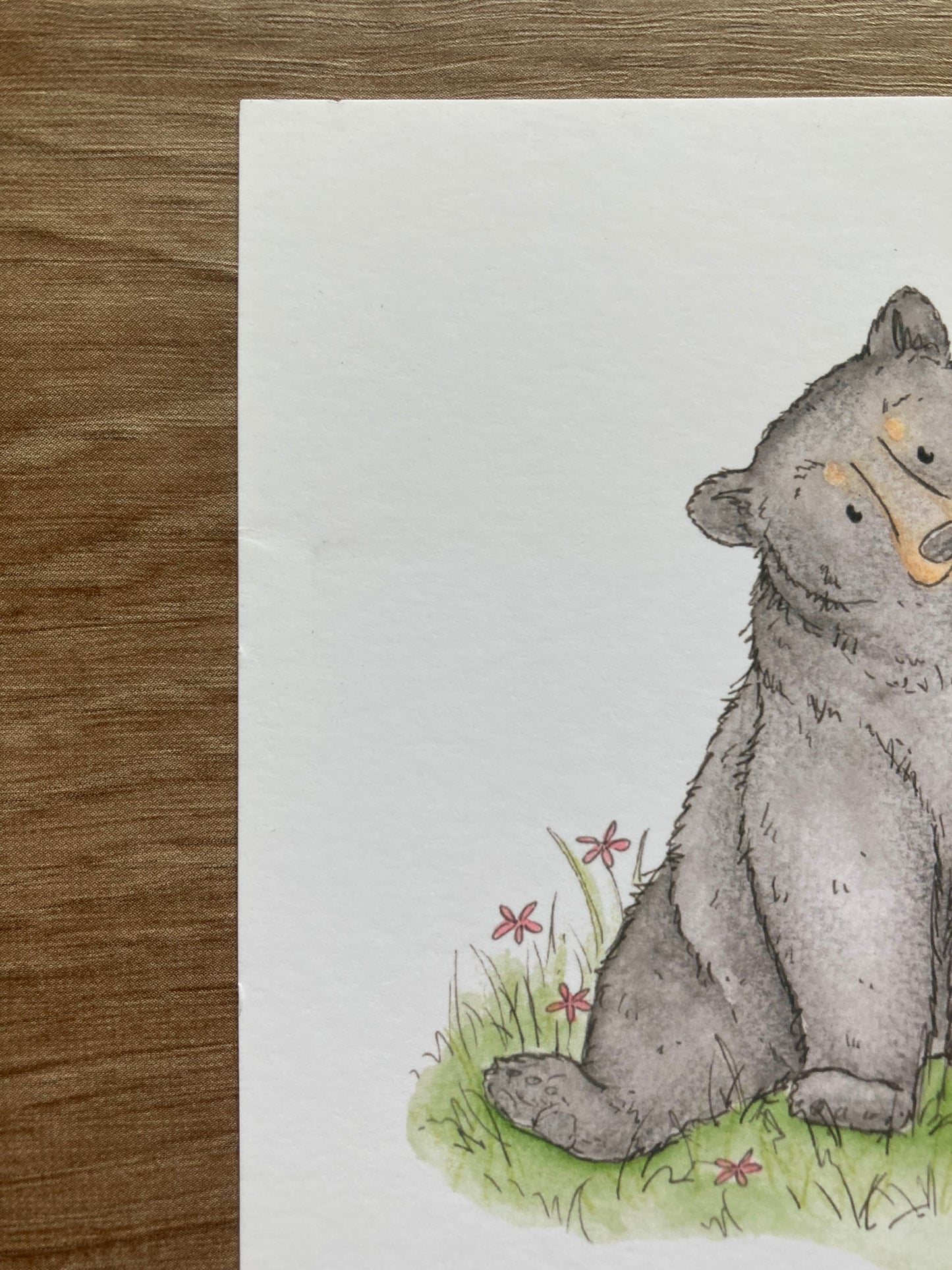 A4 Bears of the World Art Print | With some imperfections