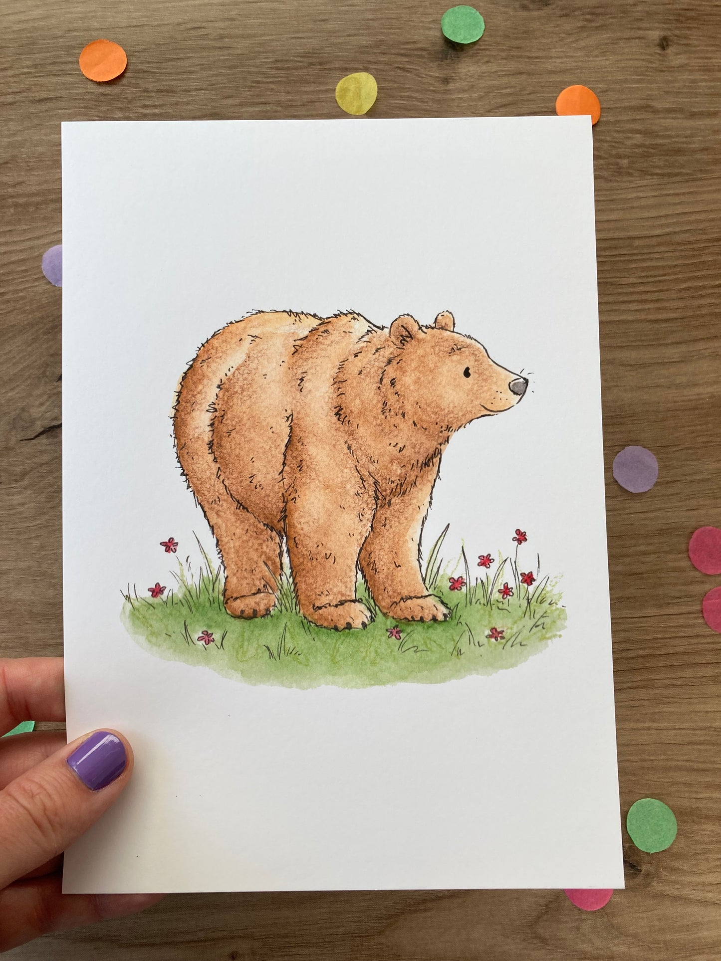 Brown Bear | Brown Bear Art Print | Bears Of The World Artwork