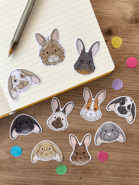 Bunny Faces Sticker Faces | Pack of 10 Cute Bunny Stickers