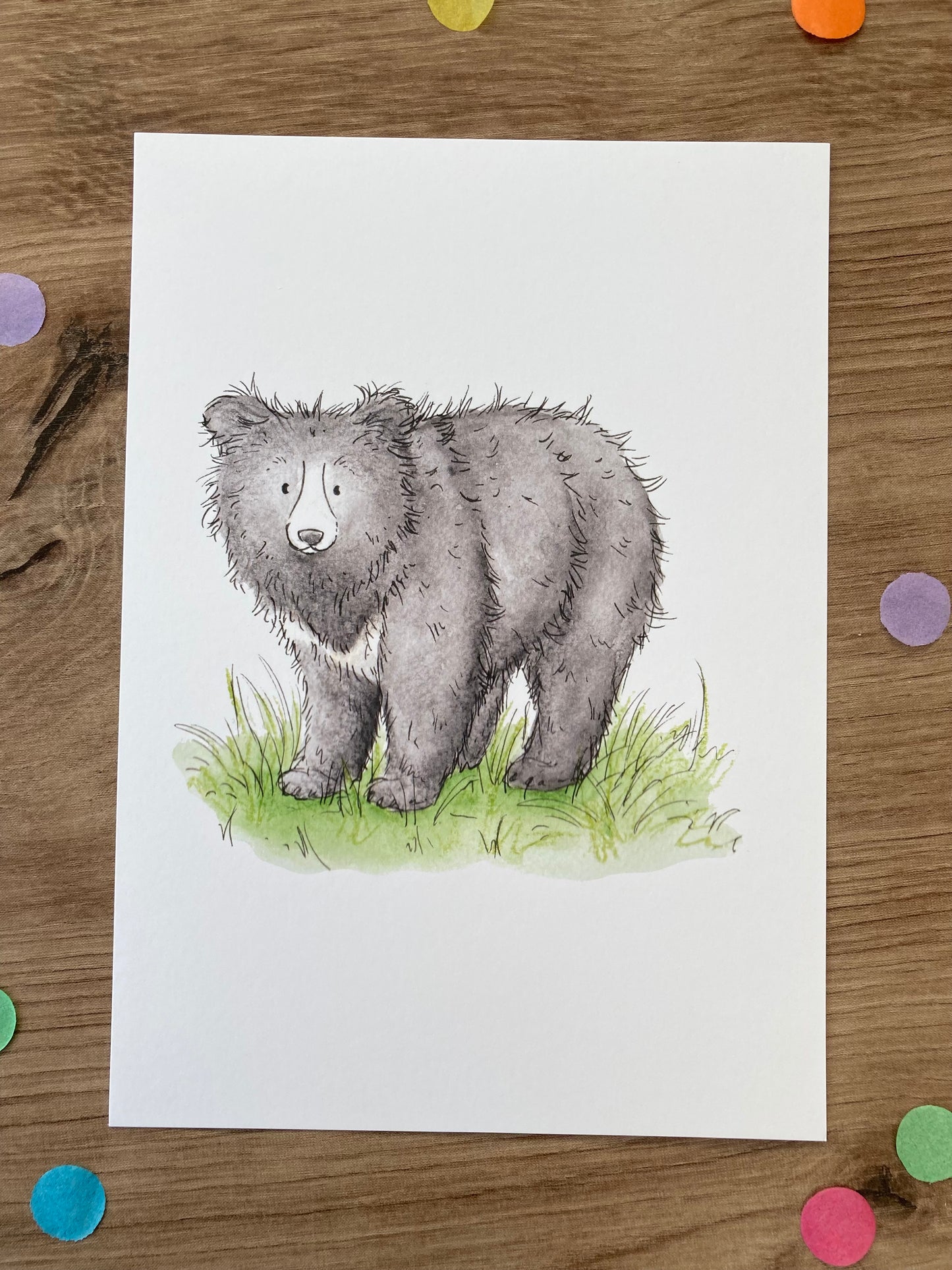 Bears Of The World | Pack of 8 Art Prints | Bear Artwork