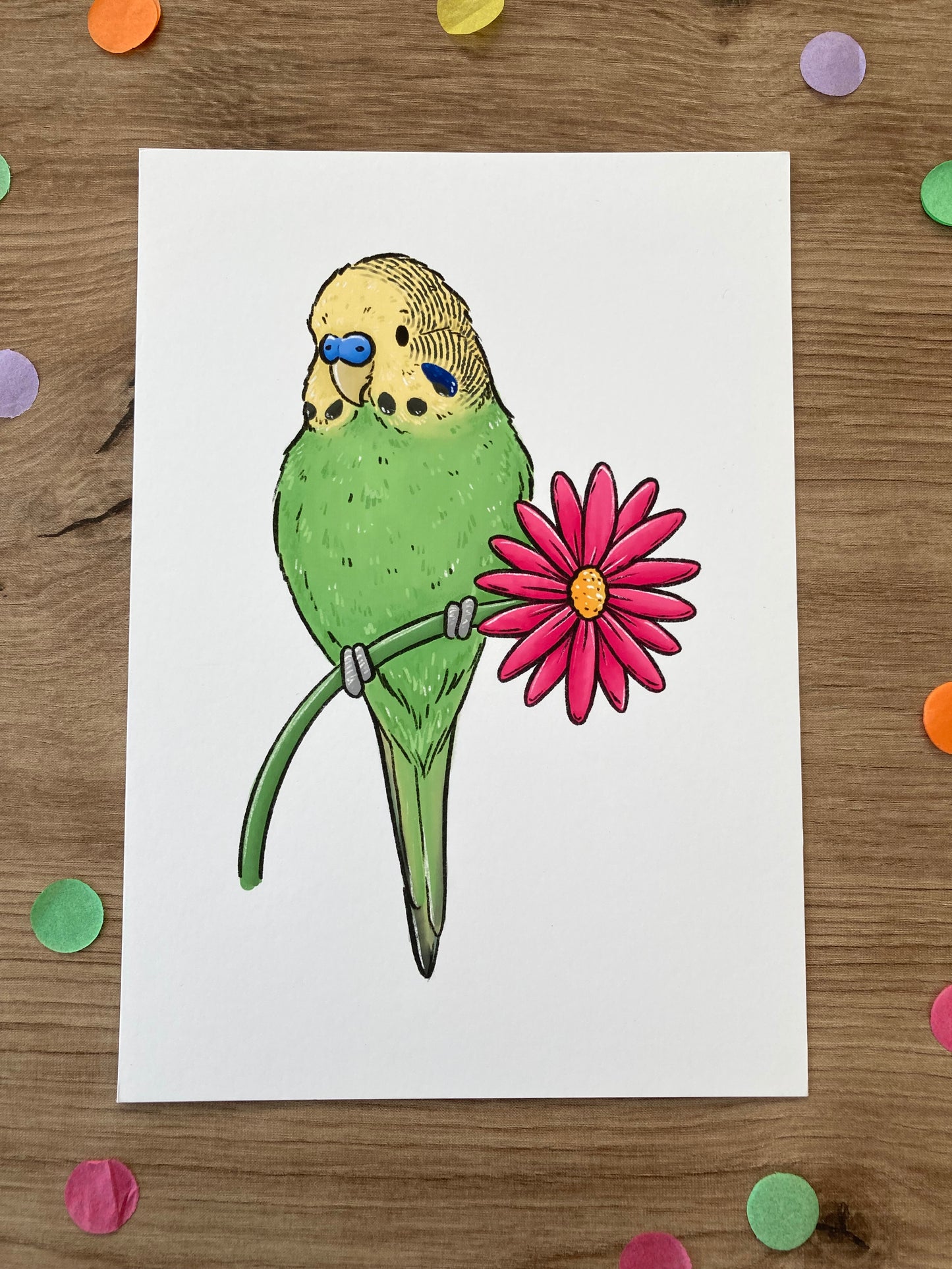 Spring Budgie | Green Budgie Art Print | Cute Budgerigar Artwork