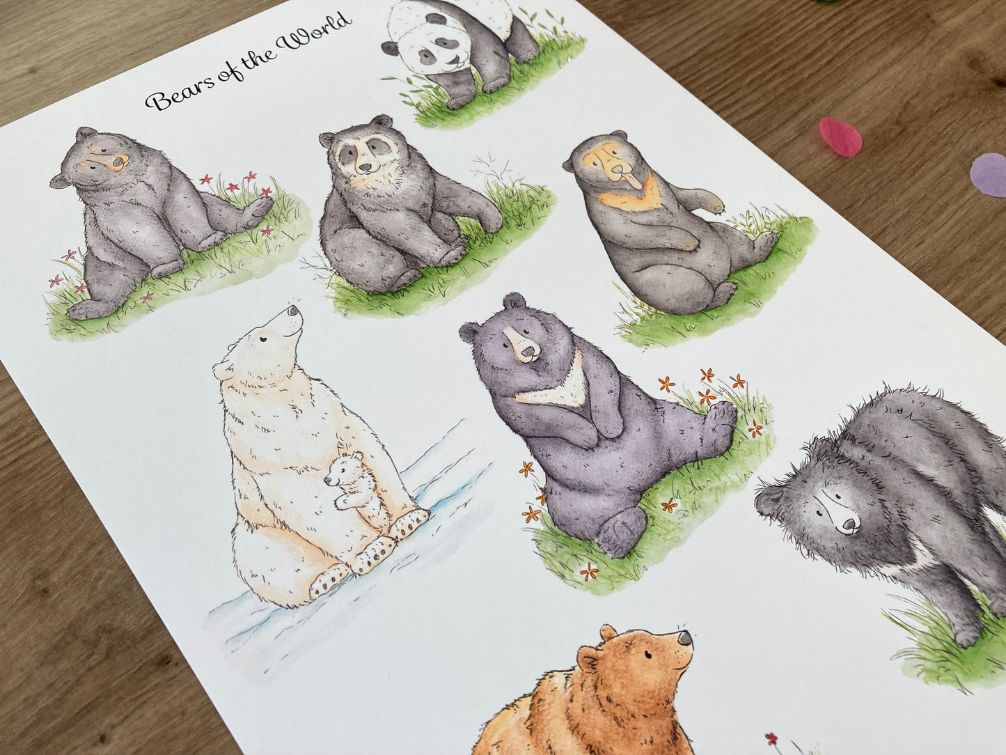 Bears of the World | A4 Bear Artwork | Bear Wall Art