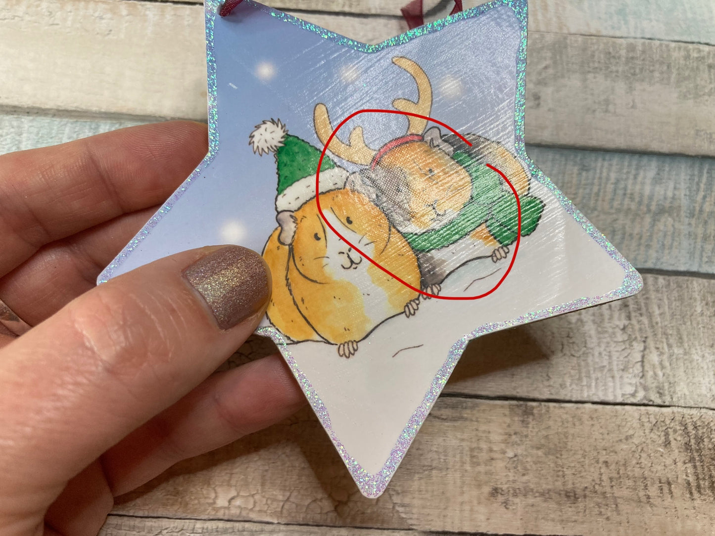 Winter Piggies | Star Decoration With Imperfections