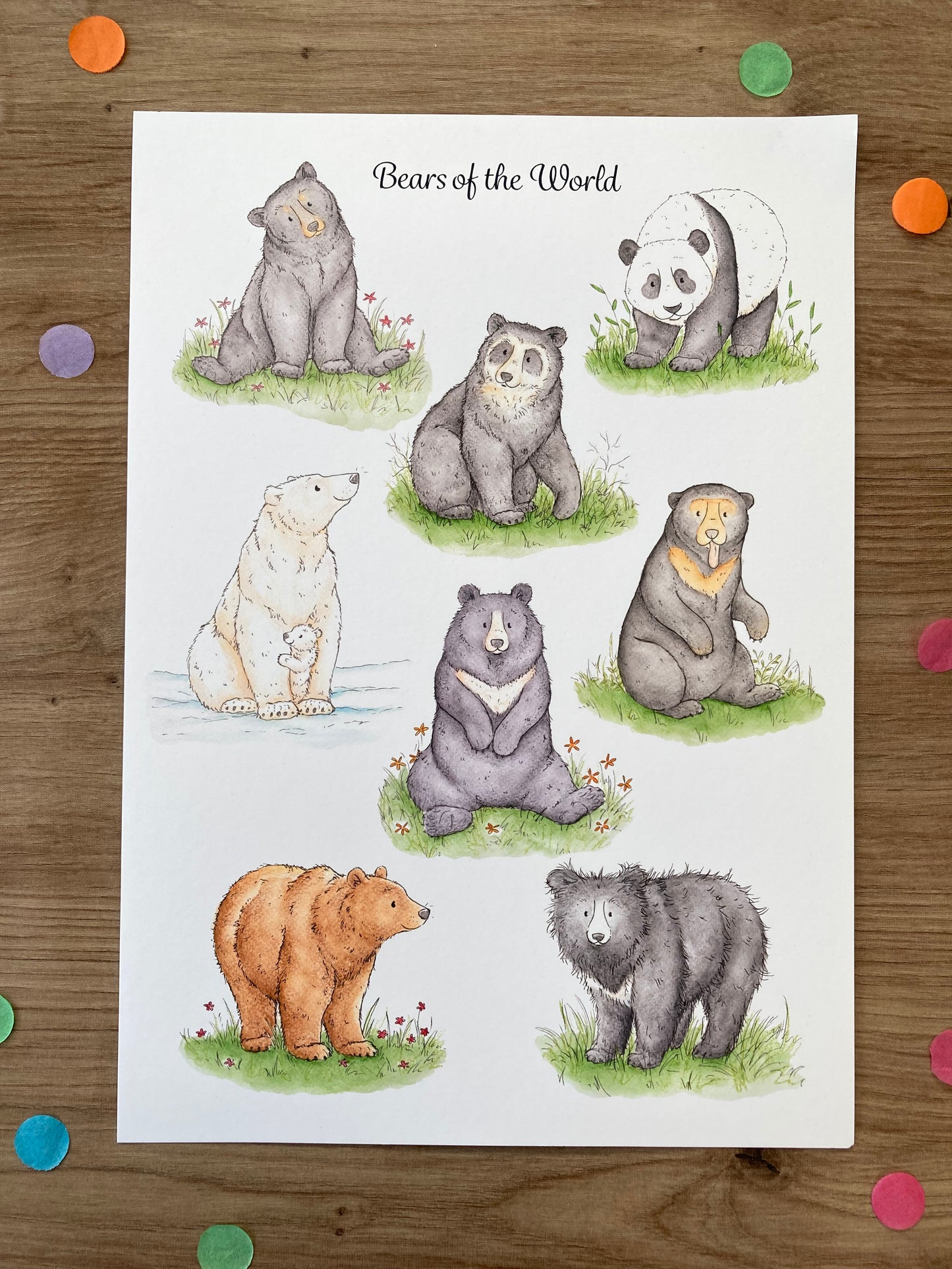 Bears of the World | A4 Bear Artwork | Bear Wall Art