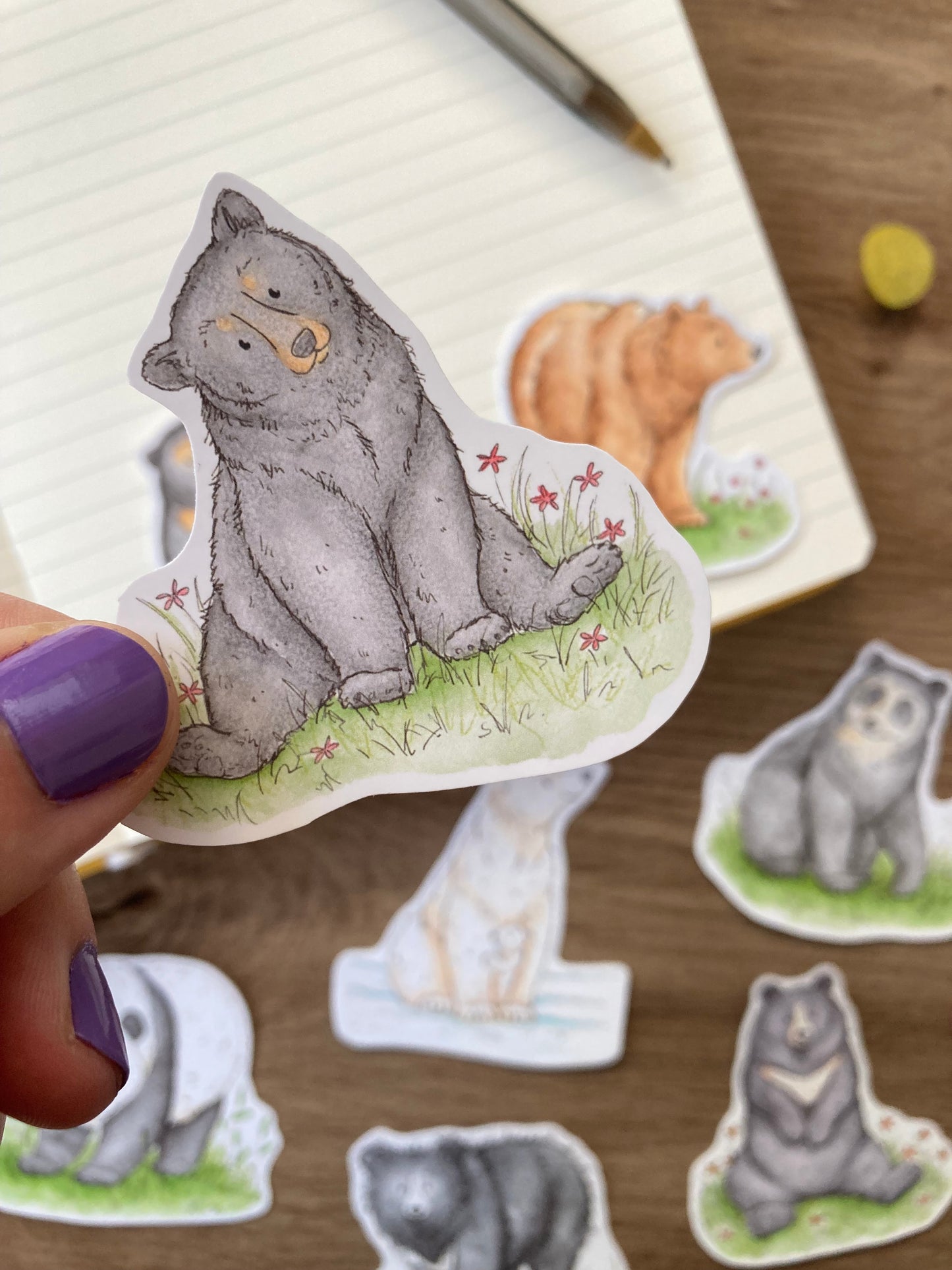 Bears Of The World Sticker Pack | Pack Of 8 Cute Bear Stickers