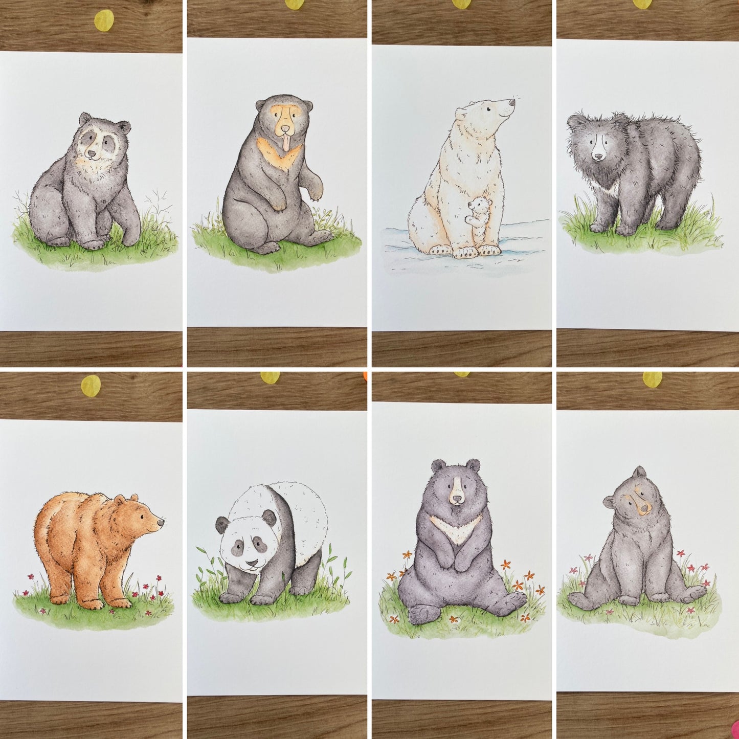 Bears Of The World | Pack of 8 Art Prints | Bear Artwork