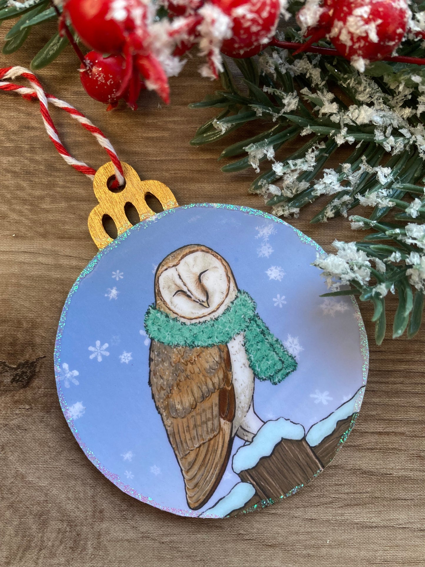 Snowy Barn Owl | Cute Winter Owl Christmas Tree Bauble
