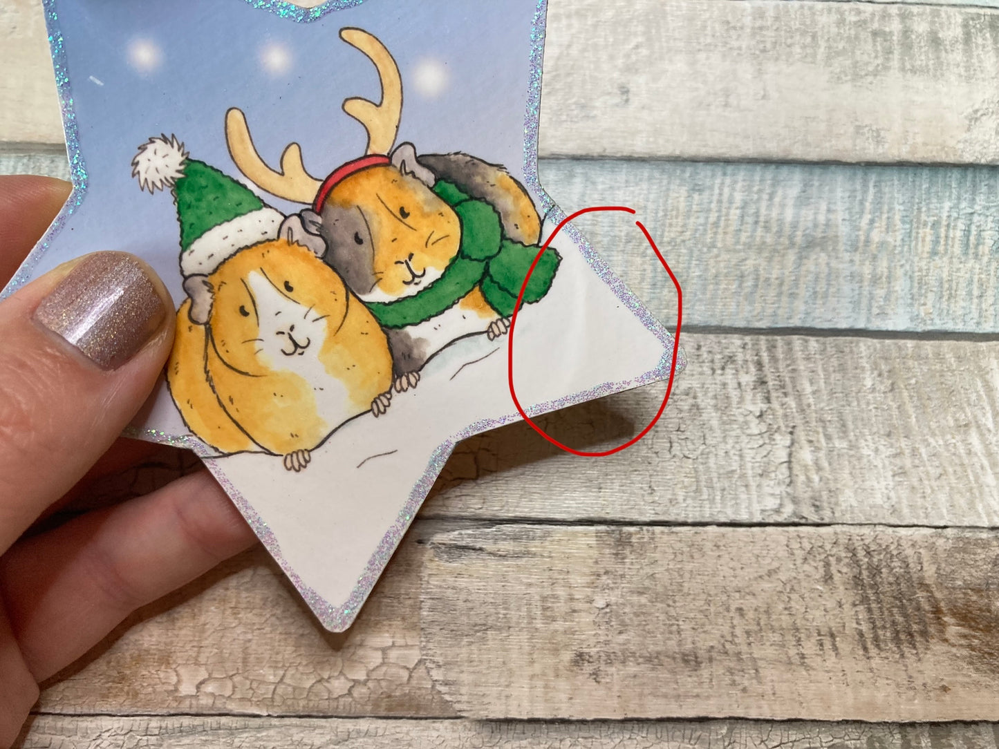 Winter Piggies | Star Decoration With Imperfections