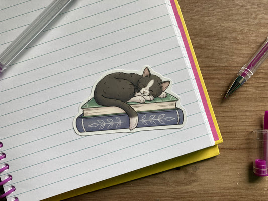 Book Lover | Cute Glossy Vinyl Cat Sticker