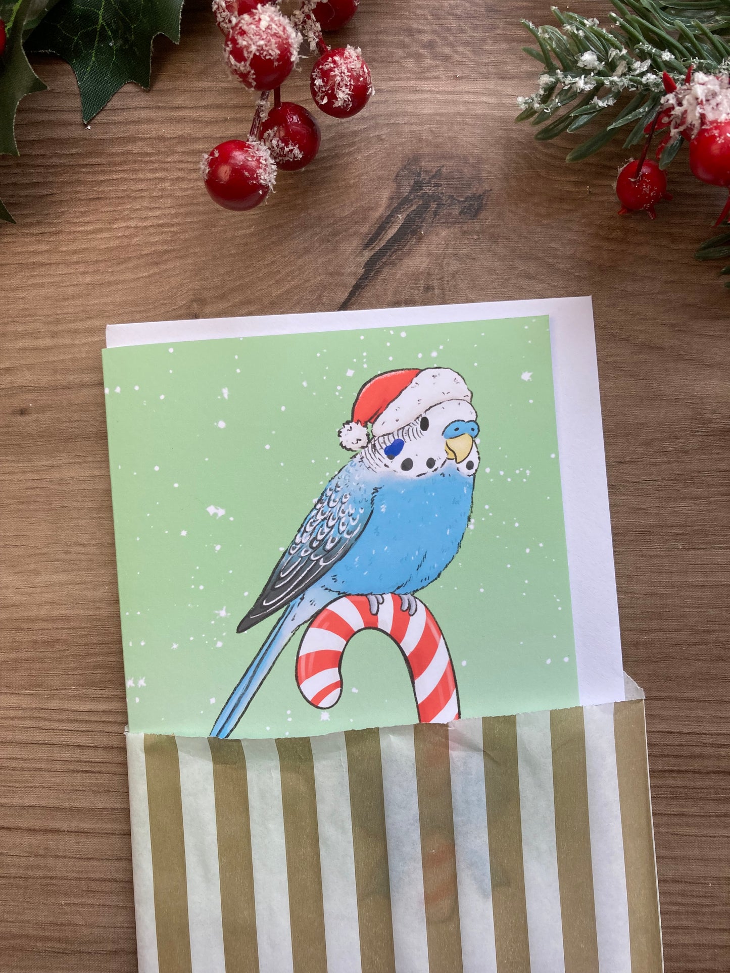 Candy Cane Budgie A6 Christmas Card - Blank Budgie Greeting Card - Christmas Budgerigar Gift Card