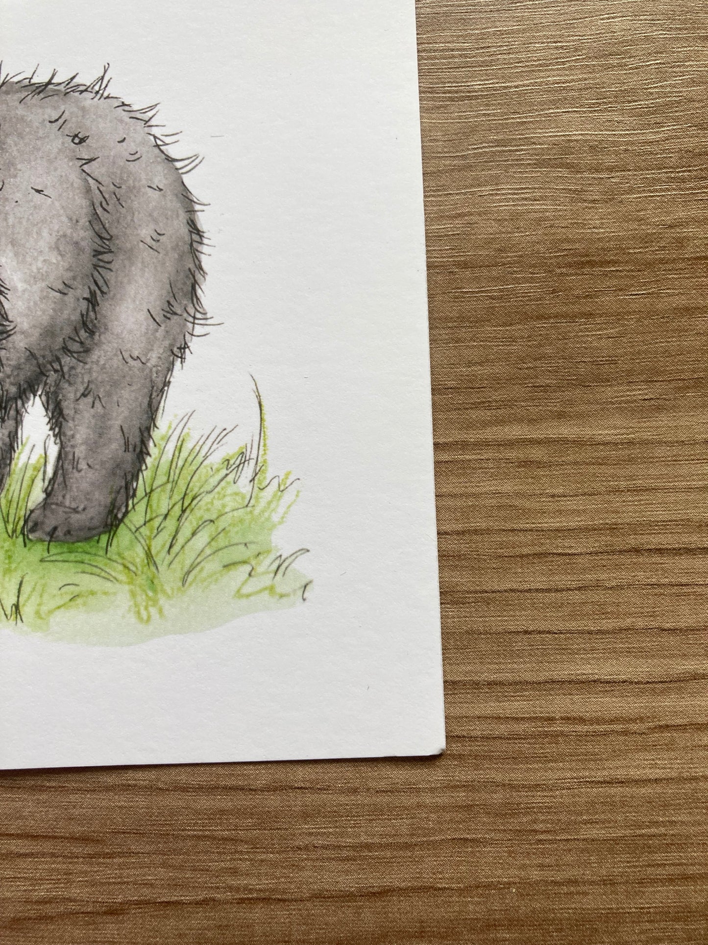 A4 Bears of the World Art Print | With some imperfections