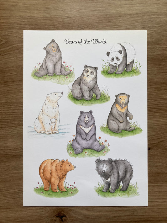 A4 Bears of the World Art Print | With some imperfections