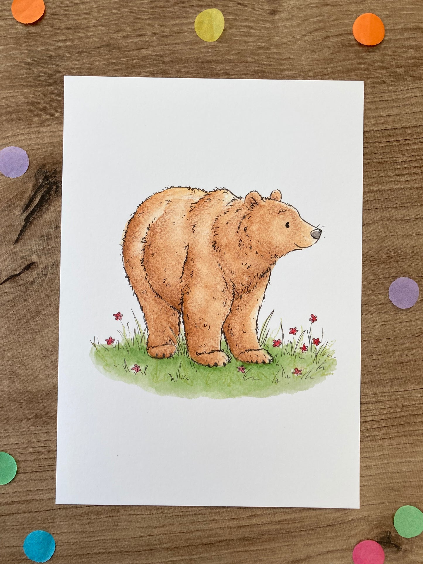 Brown Bear | Brown Bear Art Print | Bears Of The World Artwork