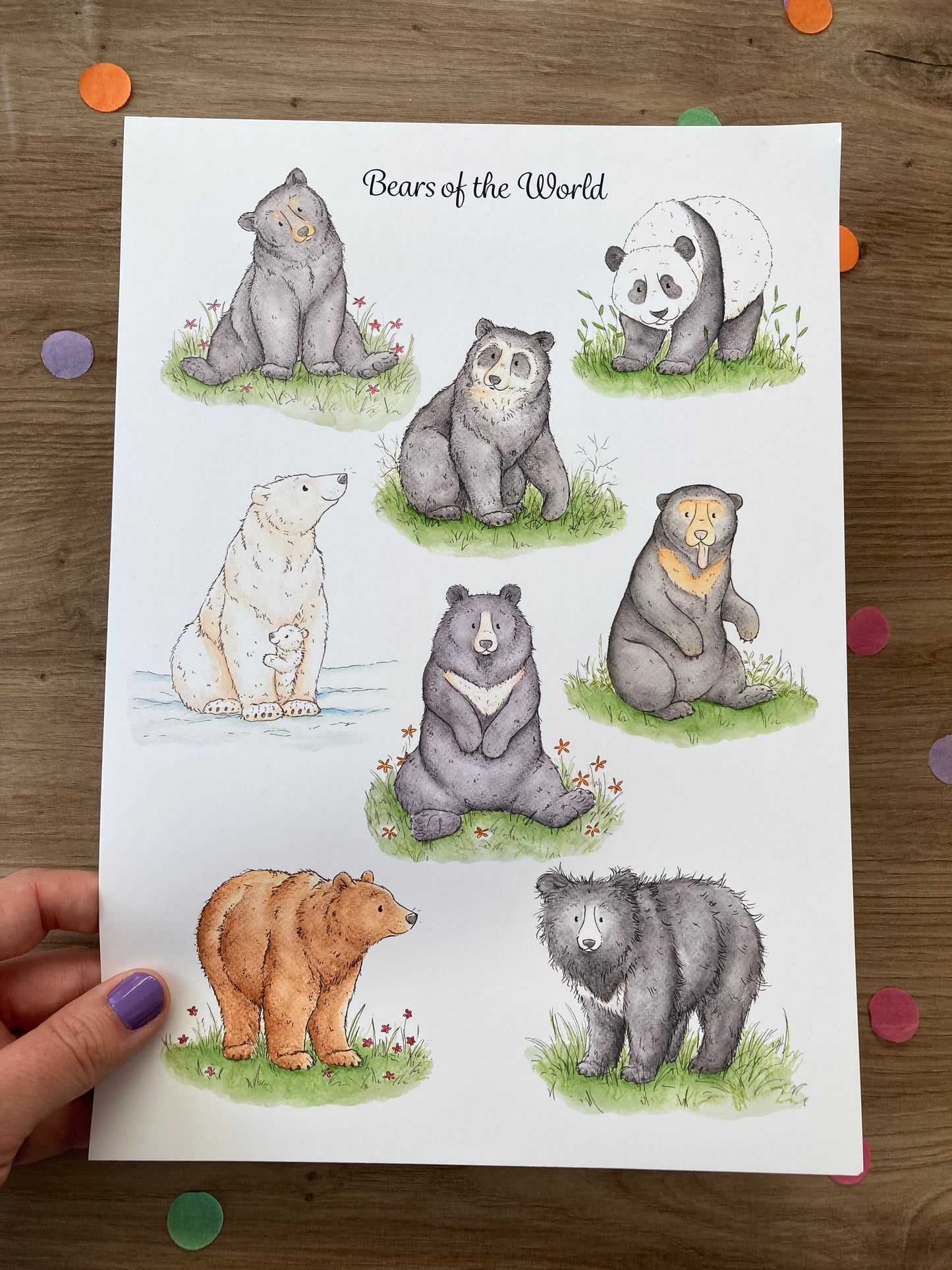 Bears of the World | A4 Bear Artwork | Bear Wall Art