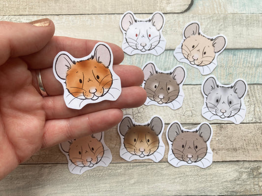 Hamster Faces Sticker Set | Pack Of 10 Syrian Hamster Stickers