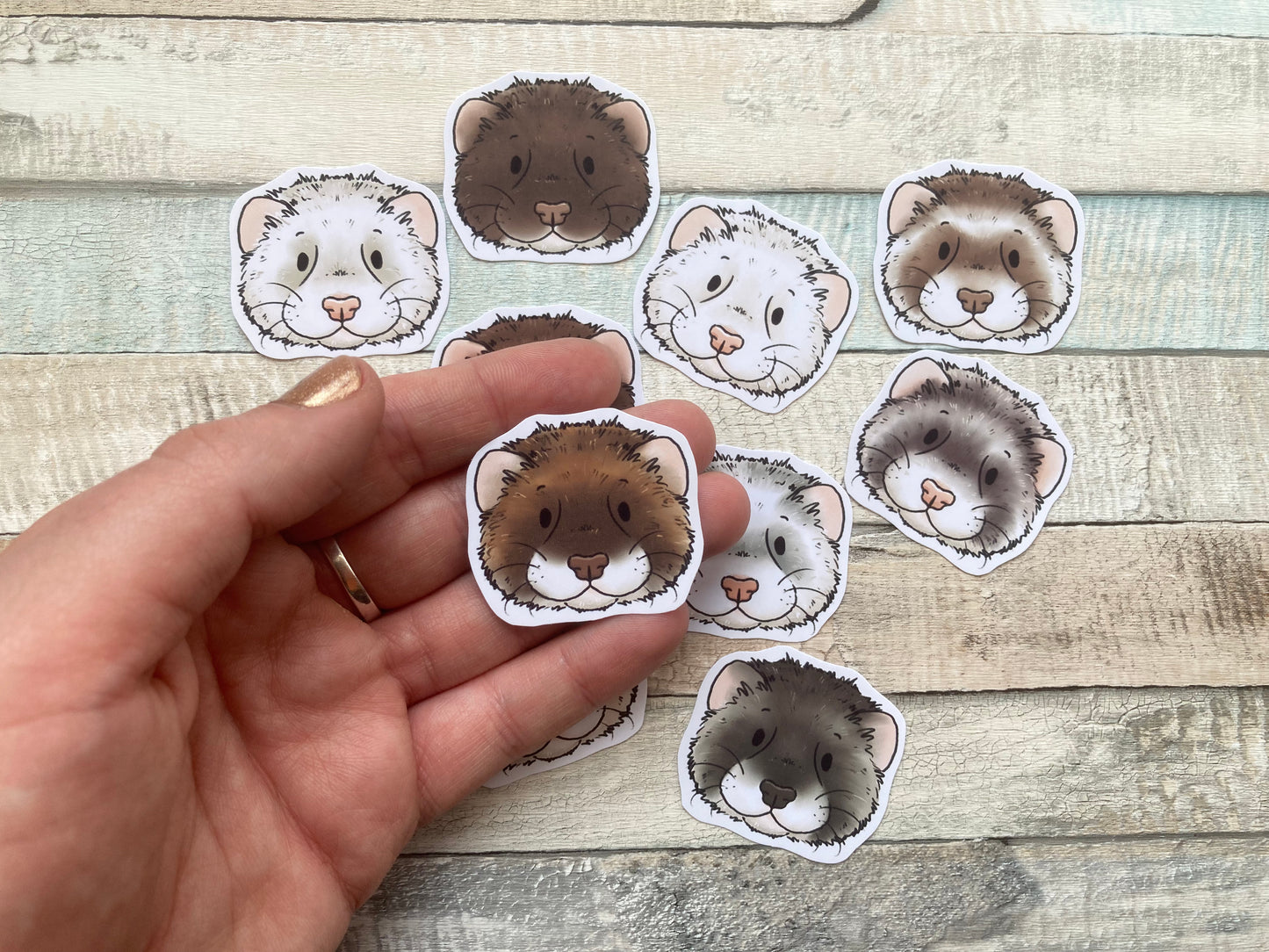 Cute ferret sticker pack | pack of 10 cute Ferret Faces Stickers