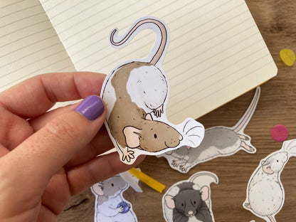 Ratty Mischief Sticker Pack | Set of 5 Rat Stickers | Fancy Rat Gift