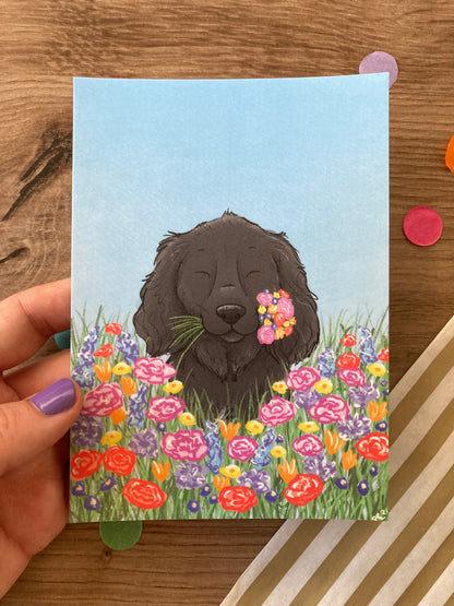 Spring Spaniel | Cute Spaniel A6 Postcard | Dog Gift