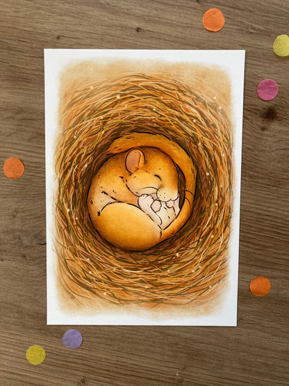 Sleeping Dormouse A5 Art Print | Whimsical Mouse Artwork | Wildlife Gift