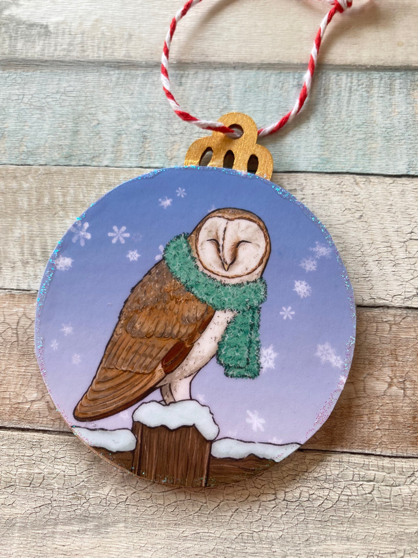 Snowy Barn Owl | Cute Winter Owl Christmas Tree Bauble