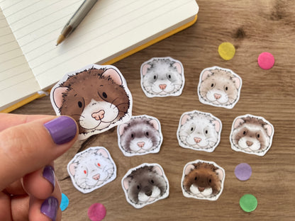 Cute ferret sticker pack | pack of 10 cute Ferret Faces Stickers