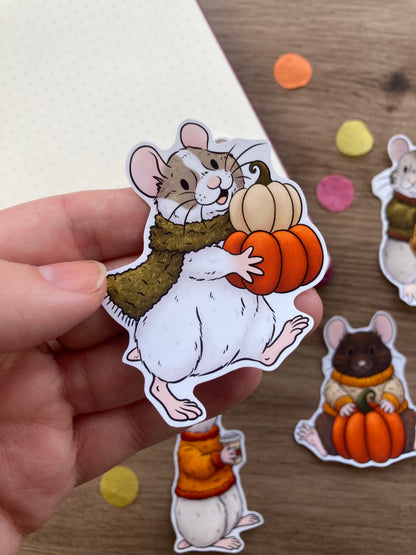 Cosy Hammy Sticker Pack | Set of 6 Glossy Paper Stickers | Hamster Gift