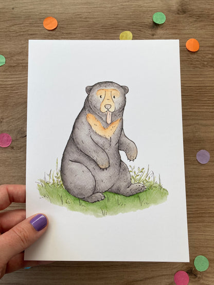 Sun Bear | Sun Bear Art Print | Bears Of The World Artwork