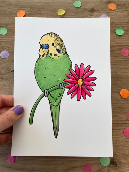 Spring Budgie | Green Budgie Art Print | Cute Budgerigar Artwork