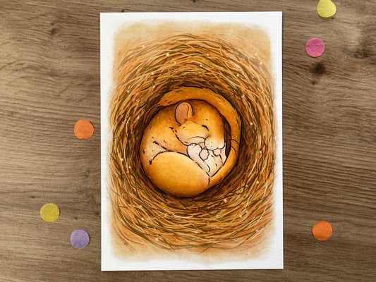 Sleeping Dormouse A5 Art Print | Whimsical Mouse Artwork | Wildlife Gift