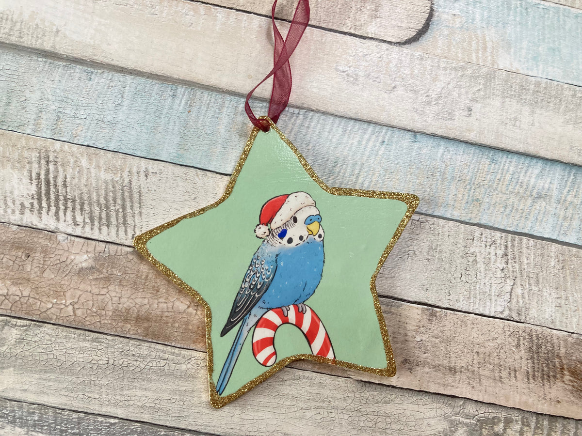 Budgie Candy Cane | Star Decoration With Imperfections