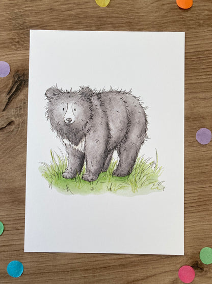 Bears Of The World | Pack of 8 Art Prints | Bear Artwork