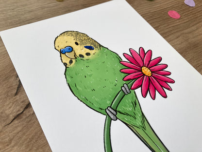 Spring Budgie | Green Budgie Art Print | Cute Budgerigar Artwork