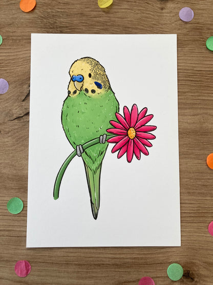 Spring Budgie | Green Budgie Art Print | Cute Budgerigar Artwork