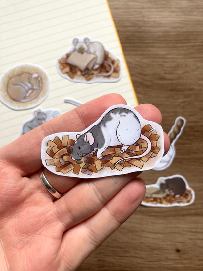 Rat Behaviour Sticker Pack | Pack Of 8 Glossy Rat Stickers