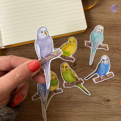 Budgie Stickers | Pack Of 6 Glossy Paper Stickers | Cute Budgie Stationery