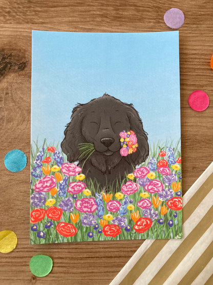 Spring Spaniel | Cute Spaniel A6 Postcard | Dog Gift
