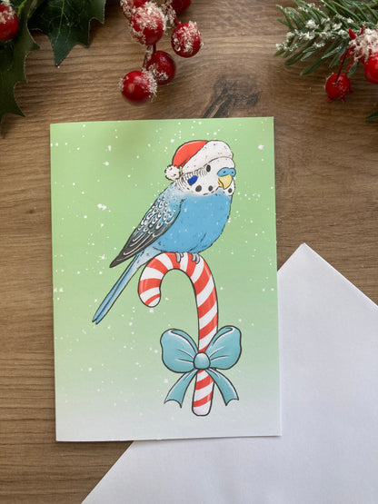 Candy Cane Budgie A6 Christmas Card - Blank Budgie Greeting Card - Christmas Budgerigar Gift Card