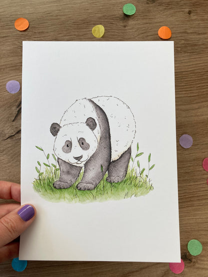 Giant Panda Bear | Panda Bear Art Print | Bears Of The World Artwork