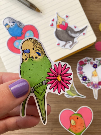 Love Bird Stickers | Set Of 6 pet Bird Stickers | Bird Gift