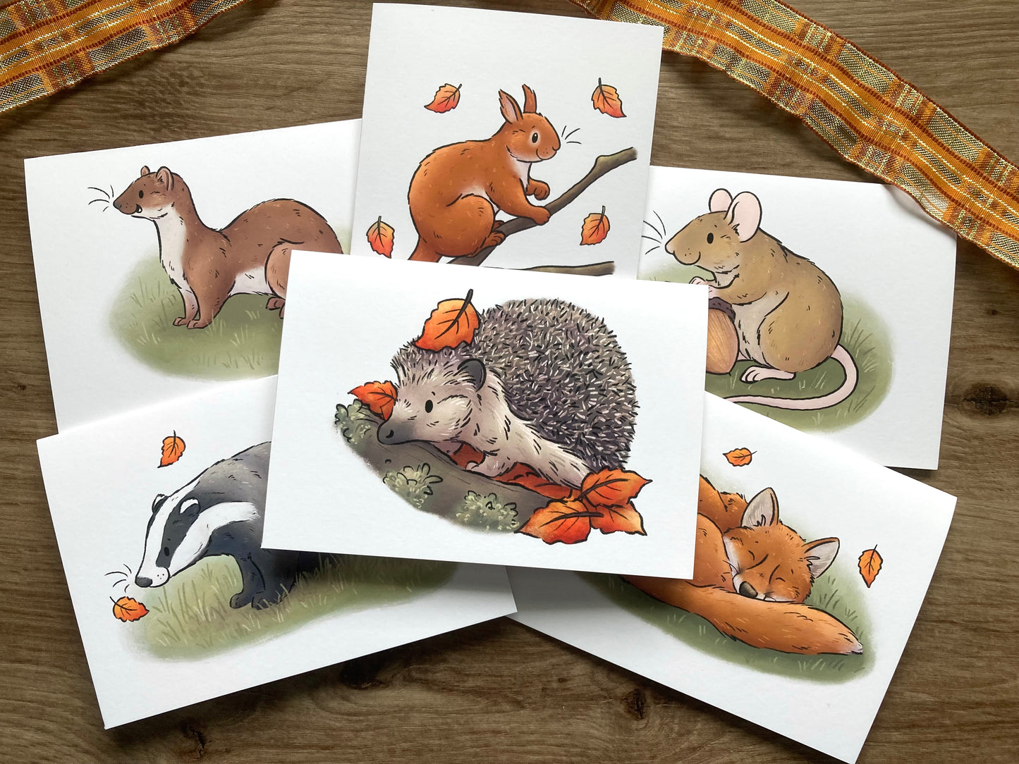 Autumn wildlife Card Bundle | Pack Of 6 A6 Wildlife Greeting Cards