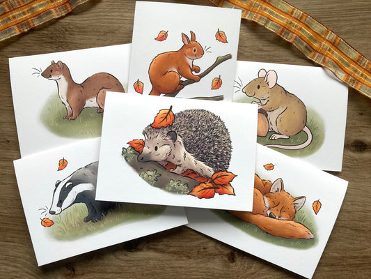 Autumn wildlife Card Bundle | Pack Of 6 A6 Wildlife Greeting Cards