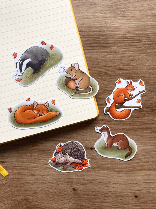 Autumn Wildlife Sticker Pack | Pack of 6 Autumn Wildlife glossy Stickers