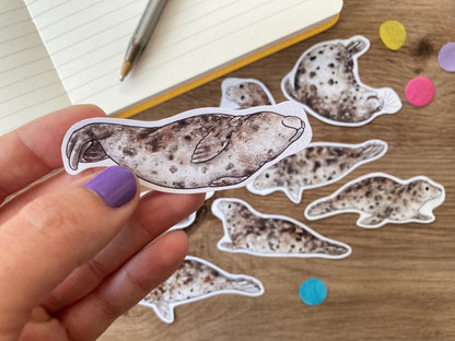 Cute Grey Seal Stickers | Set of 8 Seal Stickers | Seal Gift