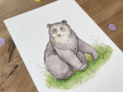 Spectacled Bear | Spectacled Bear Art Print | Bears Of The World Artwork