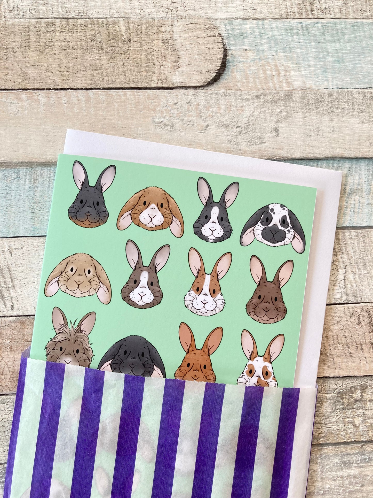 Bunny Faces A6 Blank Greeting Card with White Envelope, Any Occasion Animal Lover Card, Rabbit lover Birthday, Just For You Card