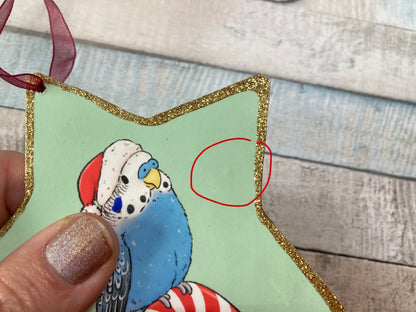 Budgie Candy Cane | Star Decoration With Imperfections
