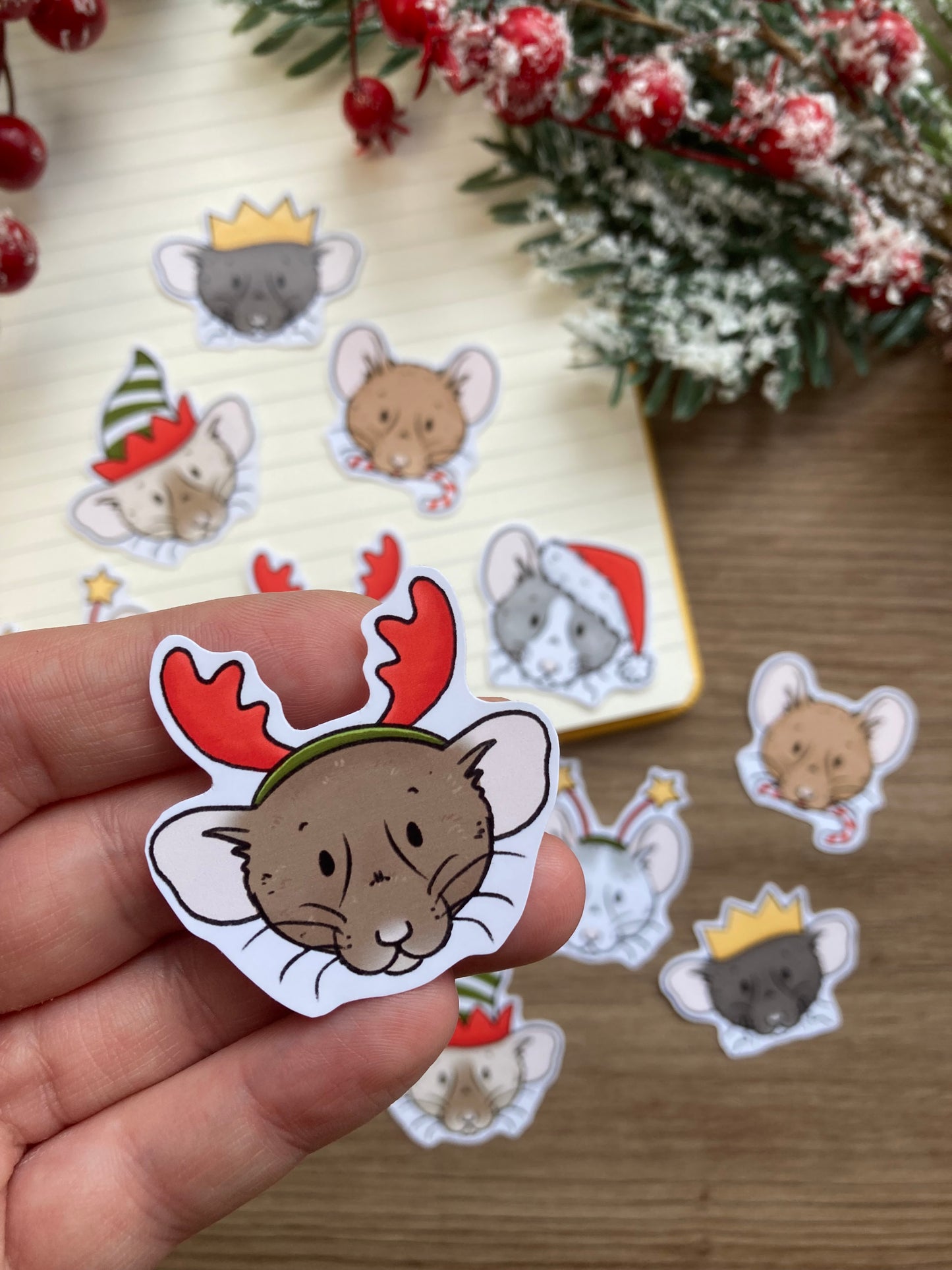 Festive Mischief Sticker Pack | Christmas Stickers