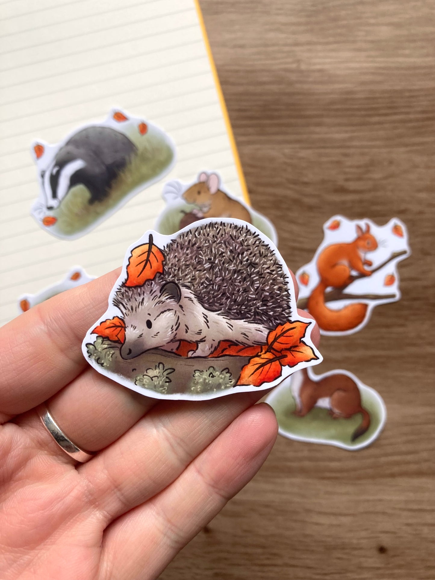 Autumn Wildlife Sticker Pack | Pack of 6 Autumn Wildlife glossy Stickers