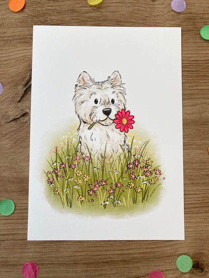 Sweet Westie | Westie Dog Art Print | West Highland Terrier Gift